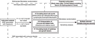 Causal association between the peripheral immunity and the risk and disease severity of multiple sclerosis